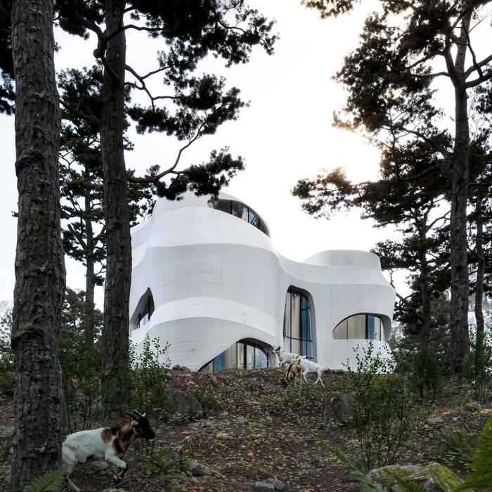 Forest House
