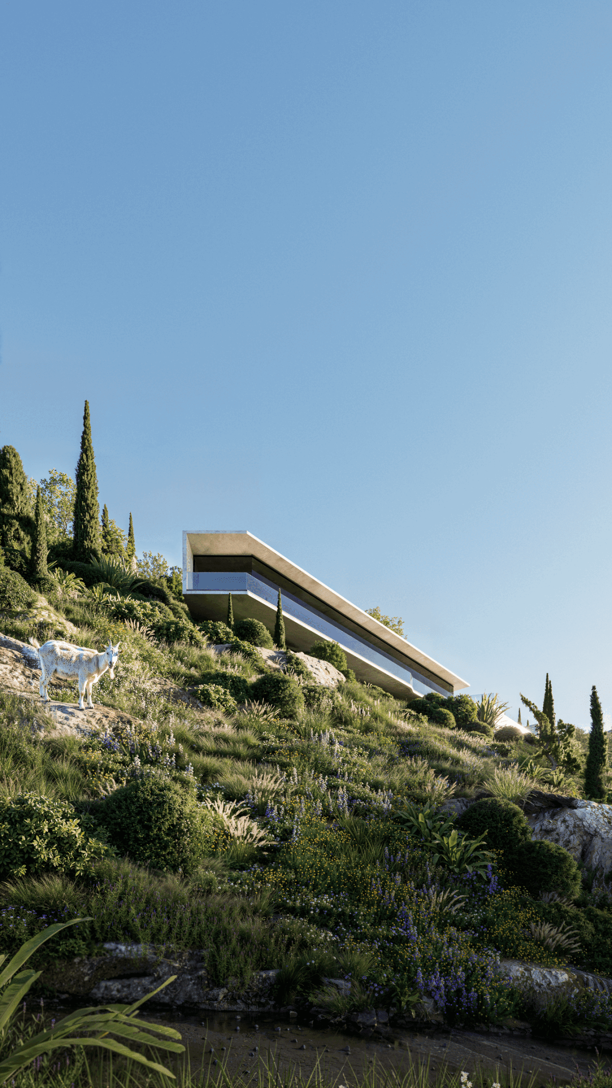 Slit Horizon – architectural 3D visualization project featured on CGAward