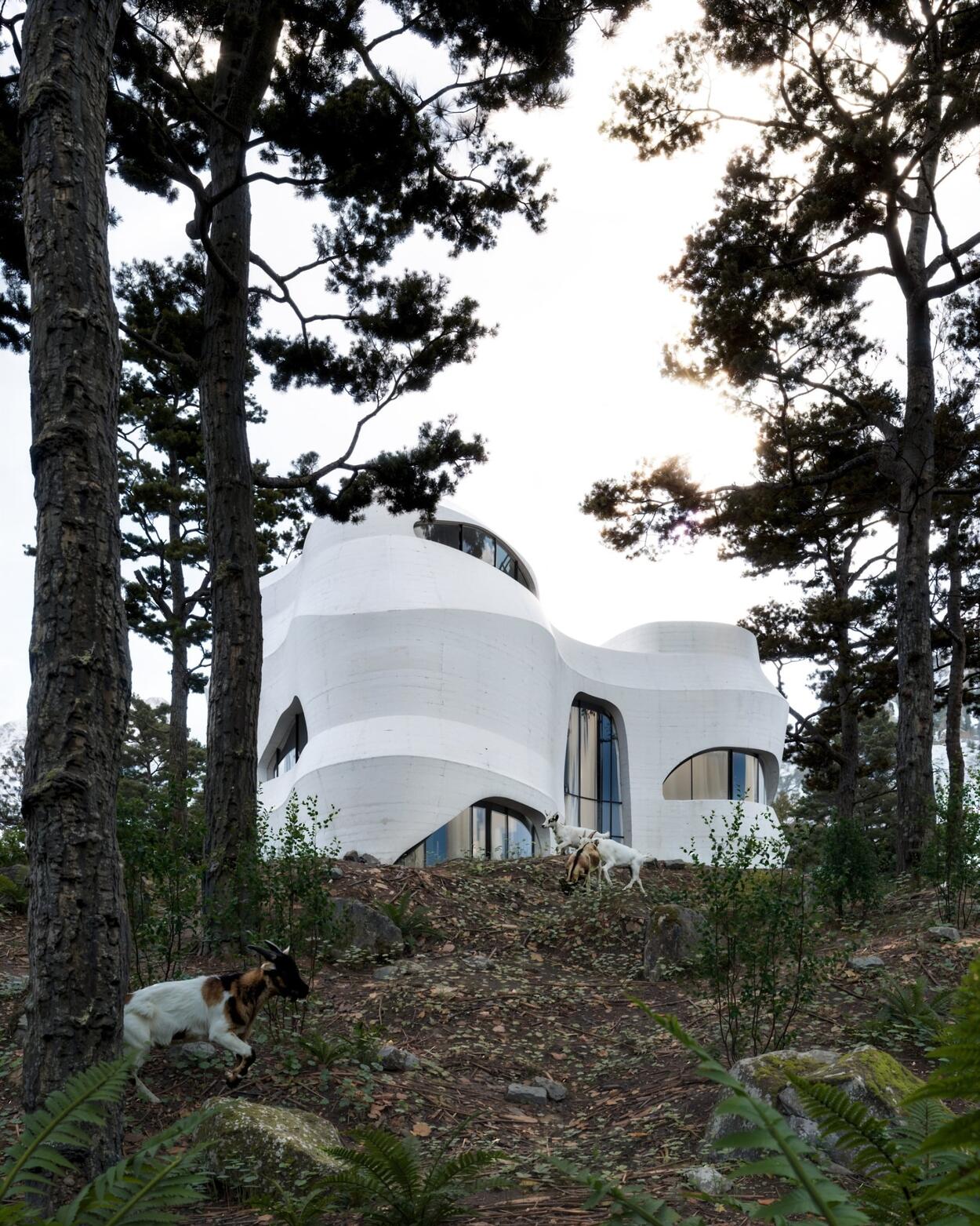 Forest House – architectural 3D visualization project featured on CGAward
