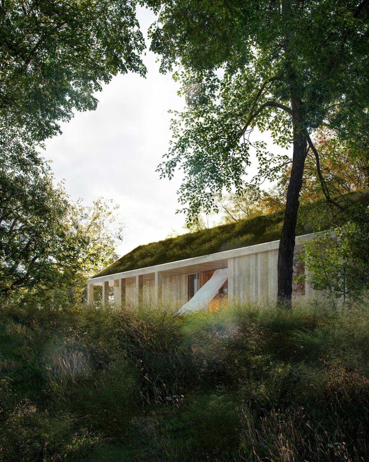Woodland House – architectural 3D visualization project featured on CGAward
