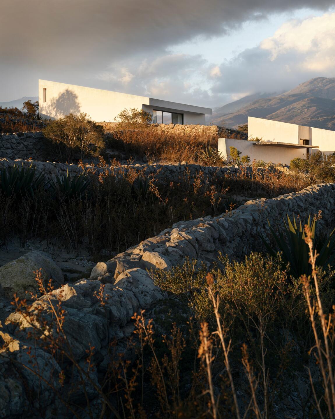 The Goat Villa – architectural 3D visualization project featured on CGAward