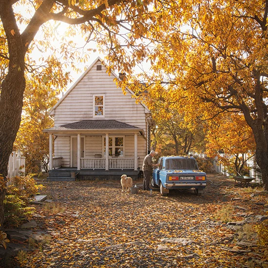 autumn trees render corona renderer 2