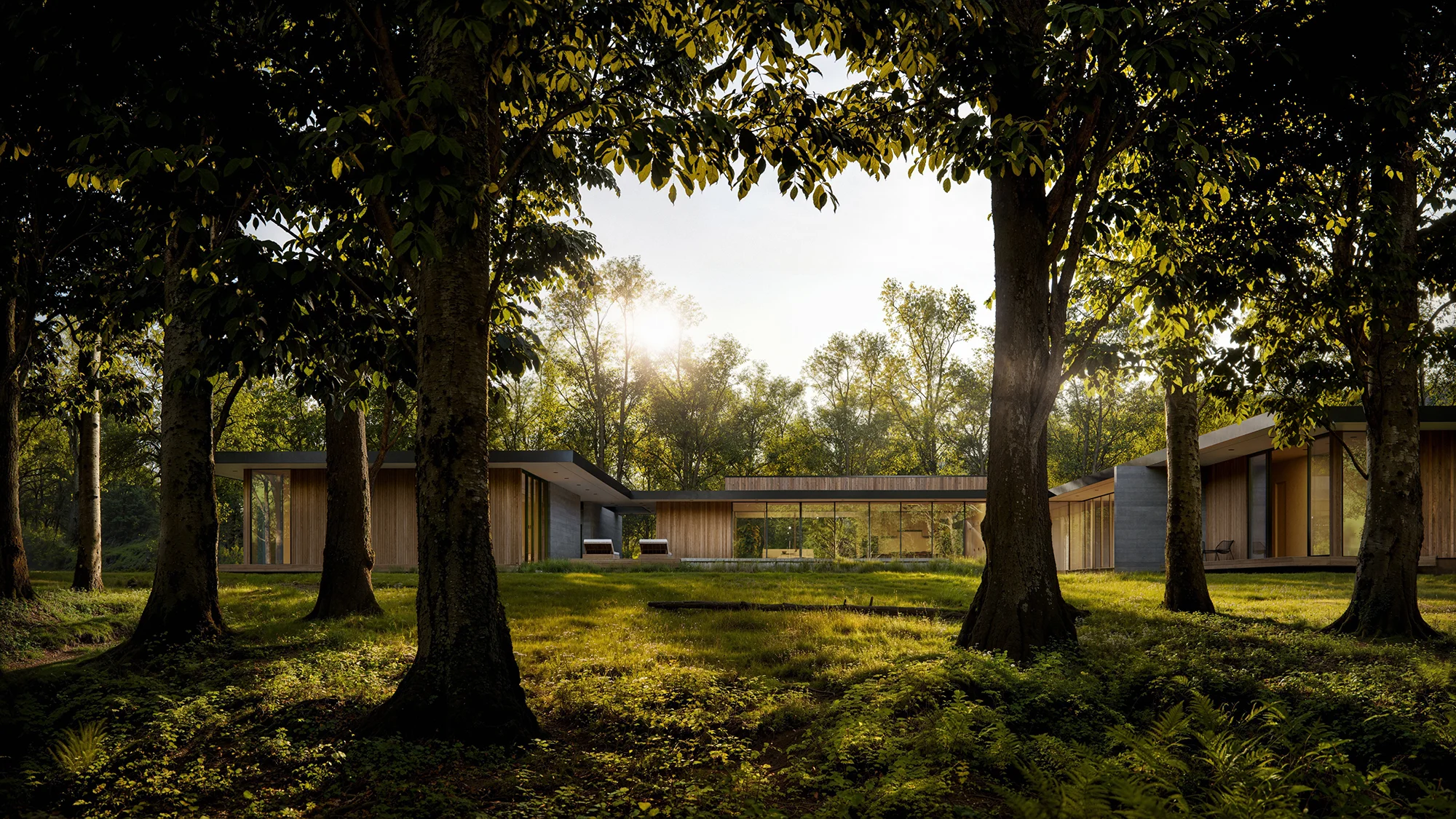 fortes.vision 3d rendering 3