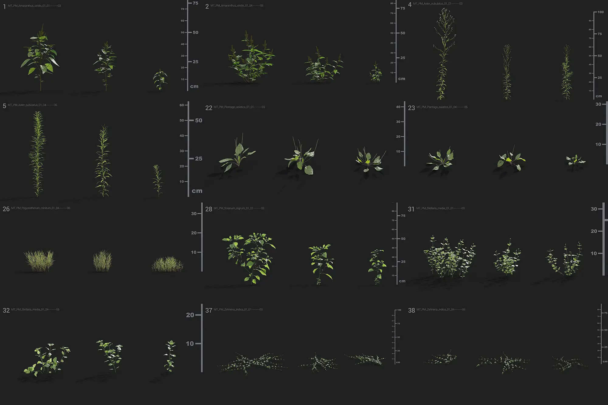 Maxtree Collection