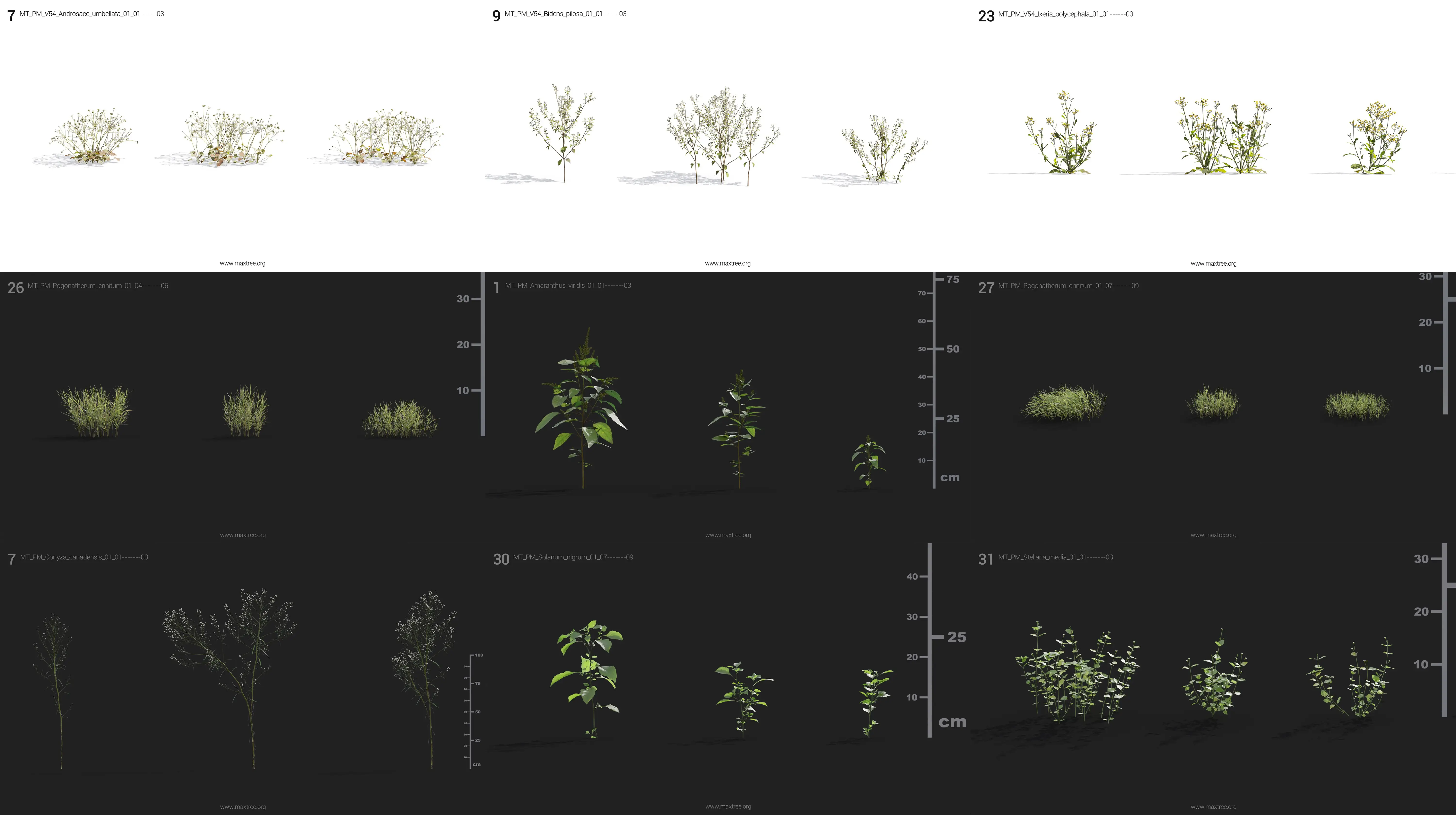 Maxtree collection