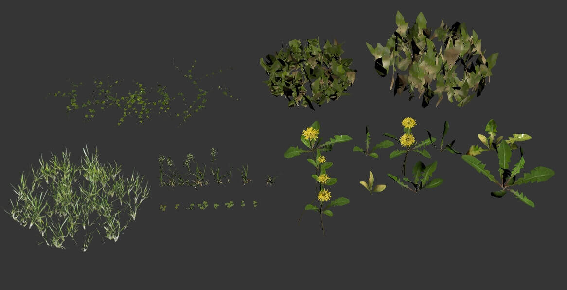 3D modeling of vegetation grass flowers 1