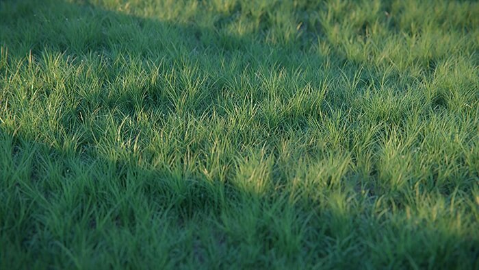 The best Blender addons for architectural 3D visualization Real Grass