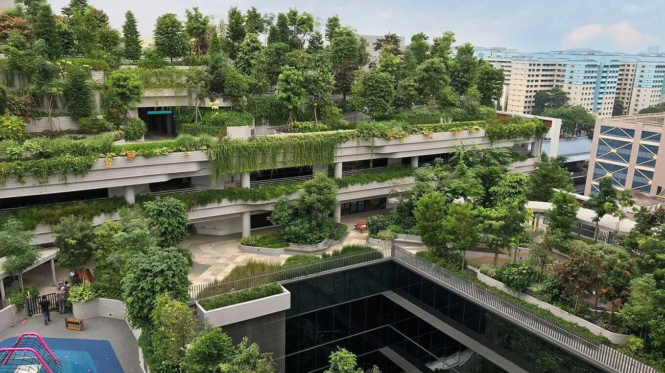 Biophilic Architecture: What it is and How to Apply it