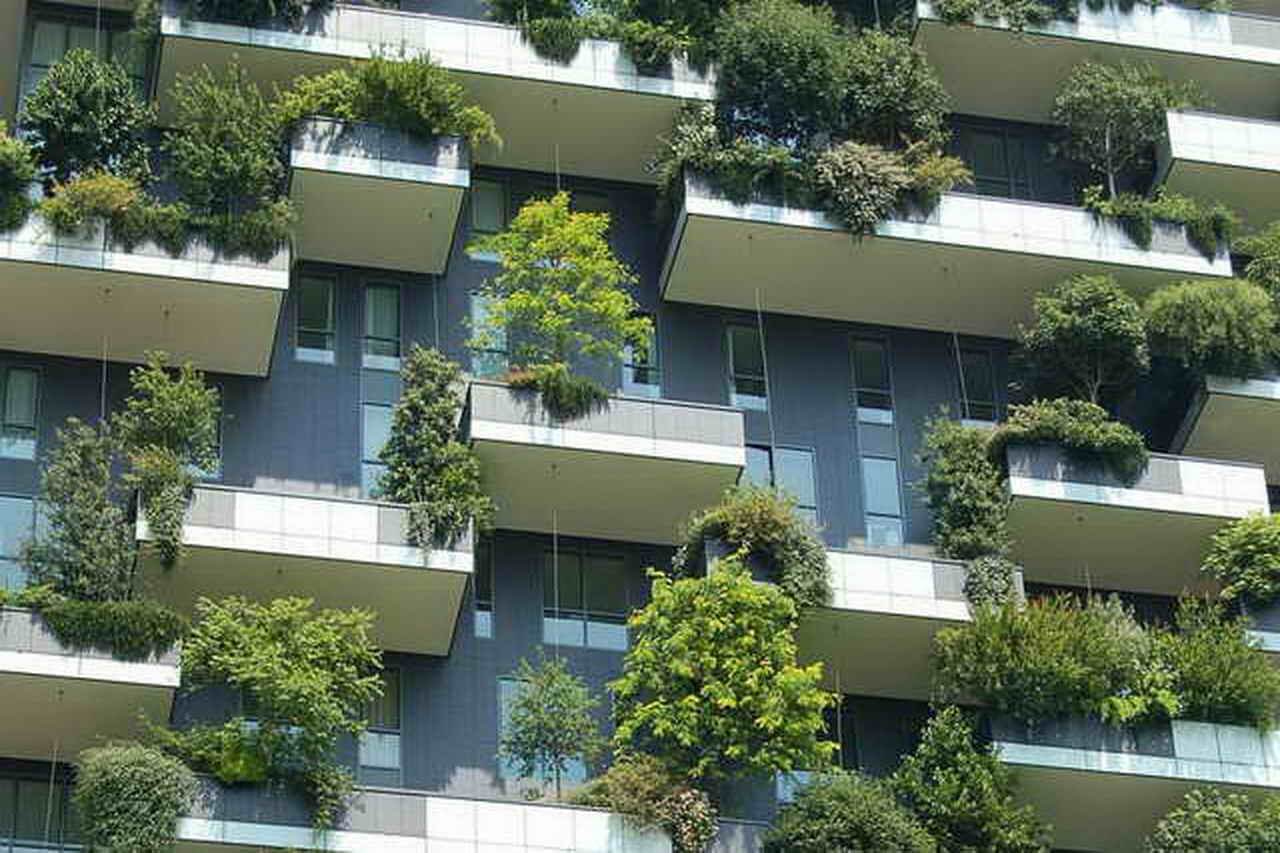 Biophilic Architecture: What it is and How to Apply it