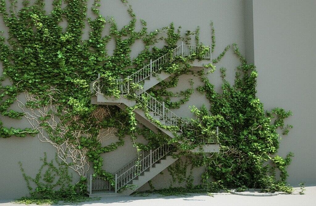 Ivy Generator