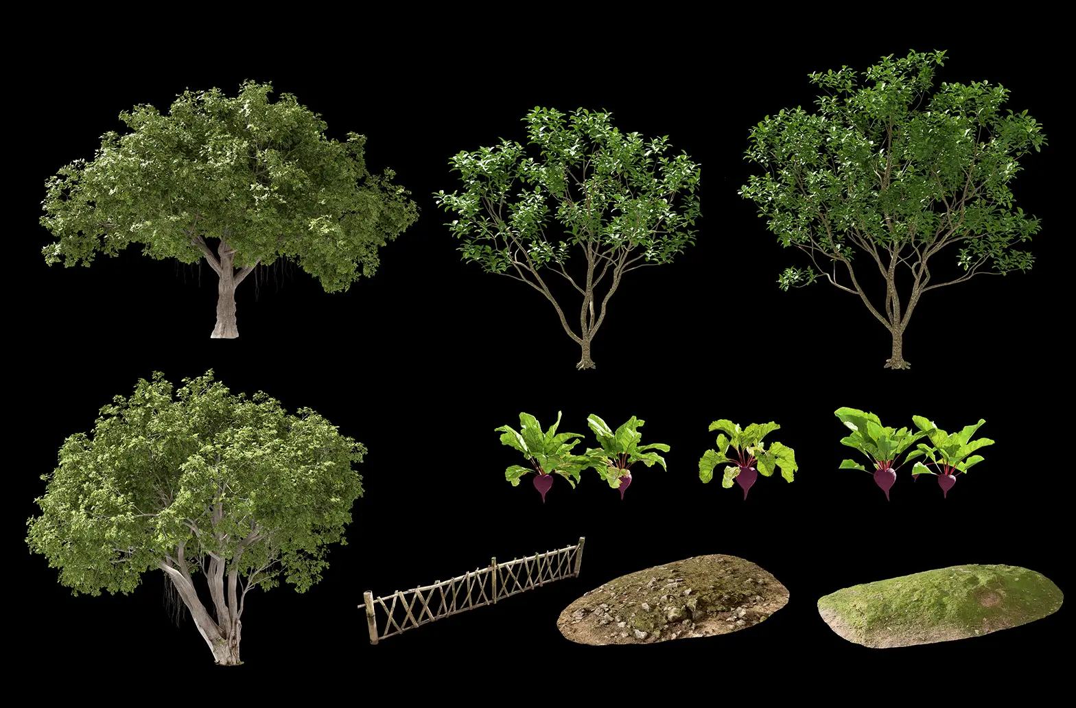 Making trees and plants in D5 Render by Figment Visual