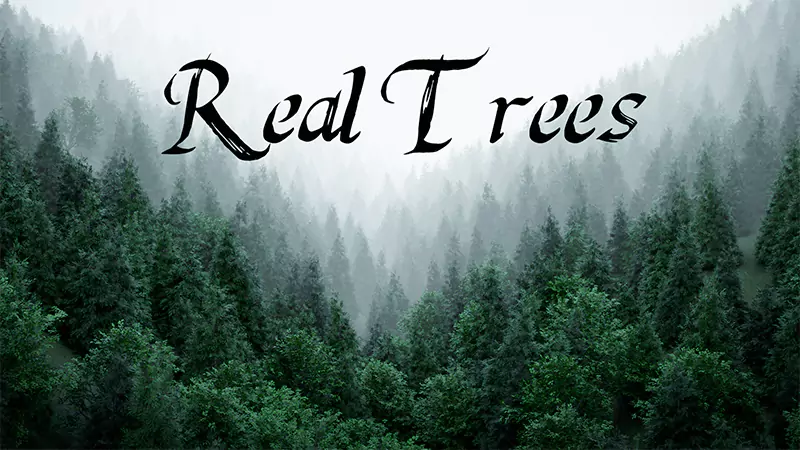 The best Blender addons for architectural 3D visualization Real trees