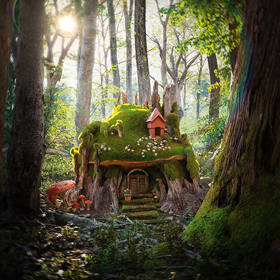 Iryna Leshchuk 3D Render House Forest