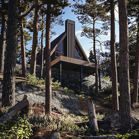 Bohdan Humeniuk 3D Render House Forest