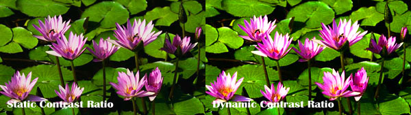 static dynamic difference