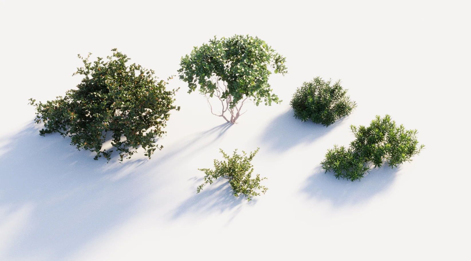New World Tutorial by uto.vz 3