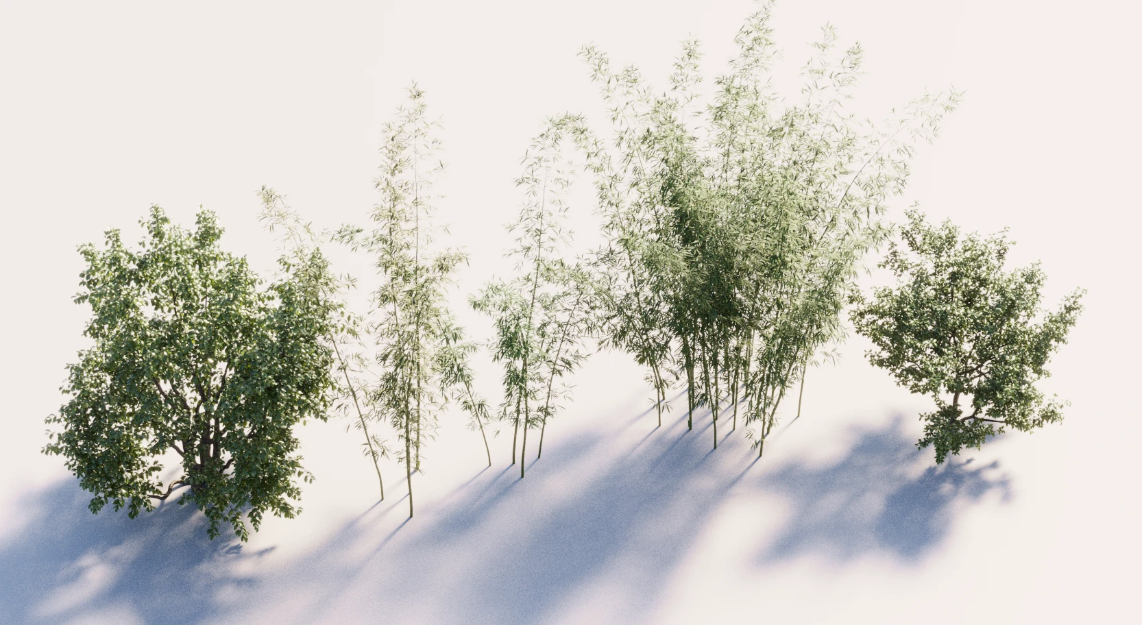 New World Tutorial by uto.vz 2
