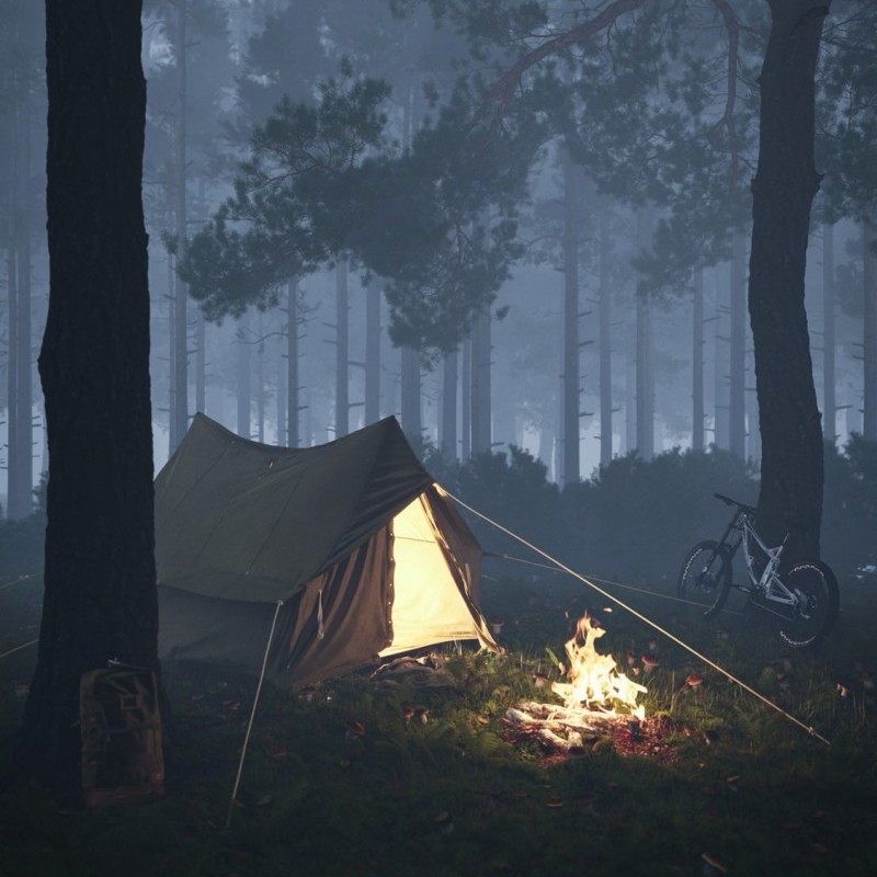 Vocation in forest