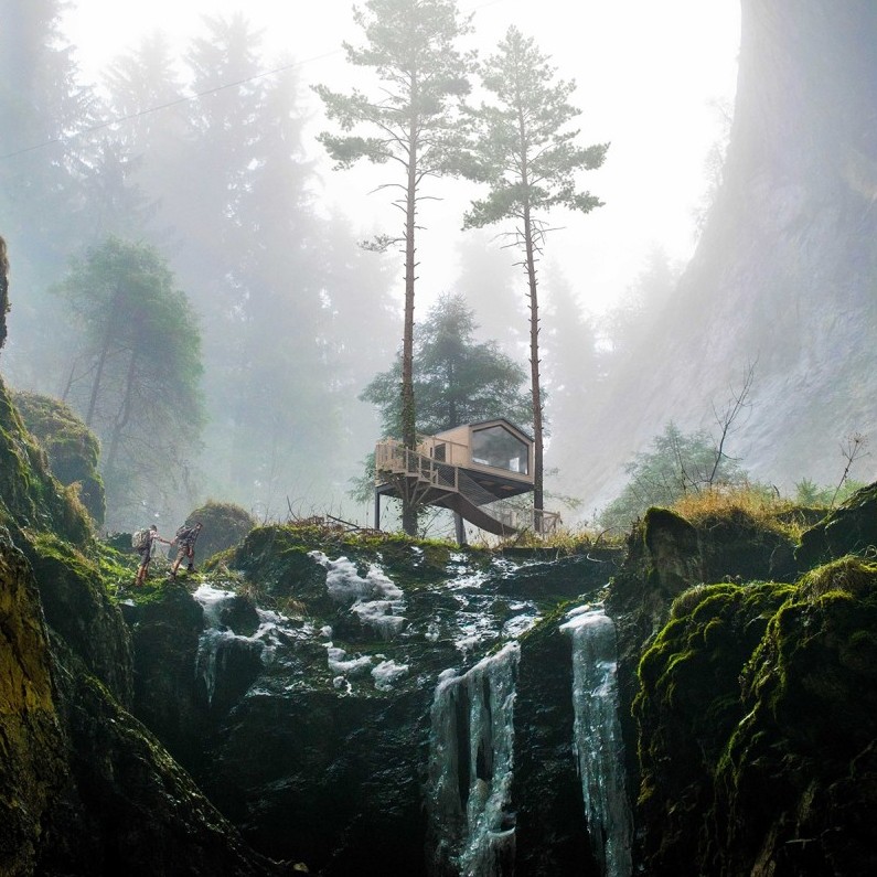 House in forest