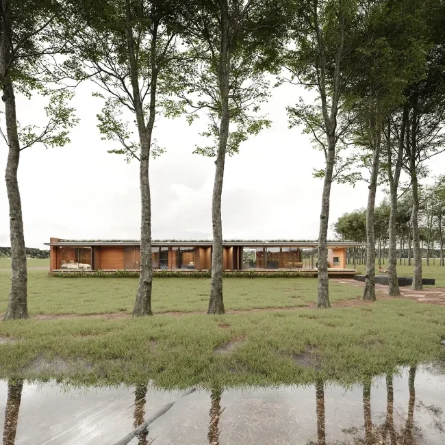 Estudio Branchini
