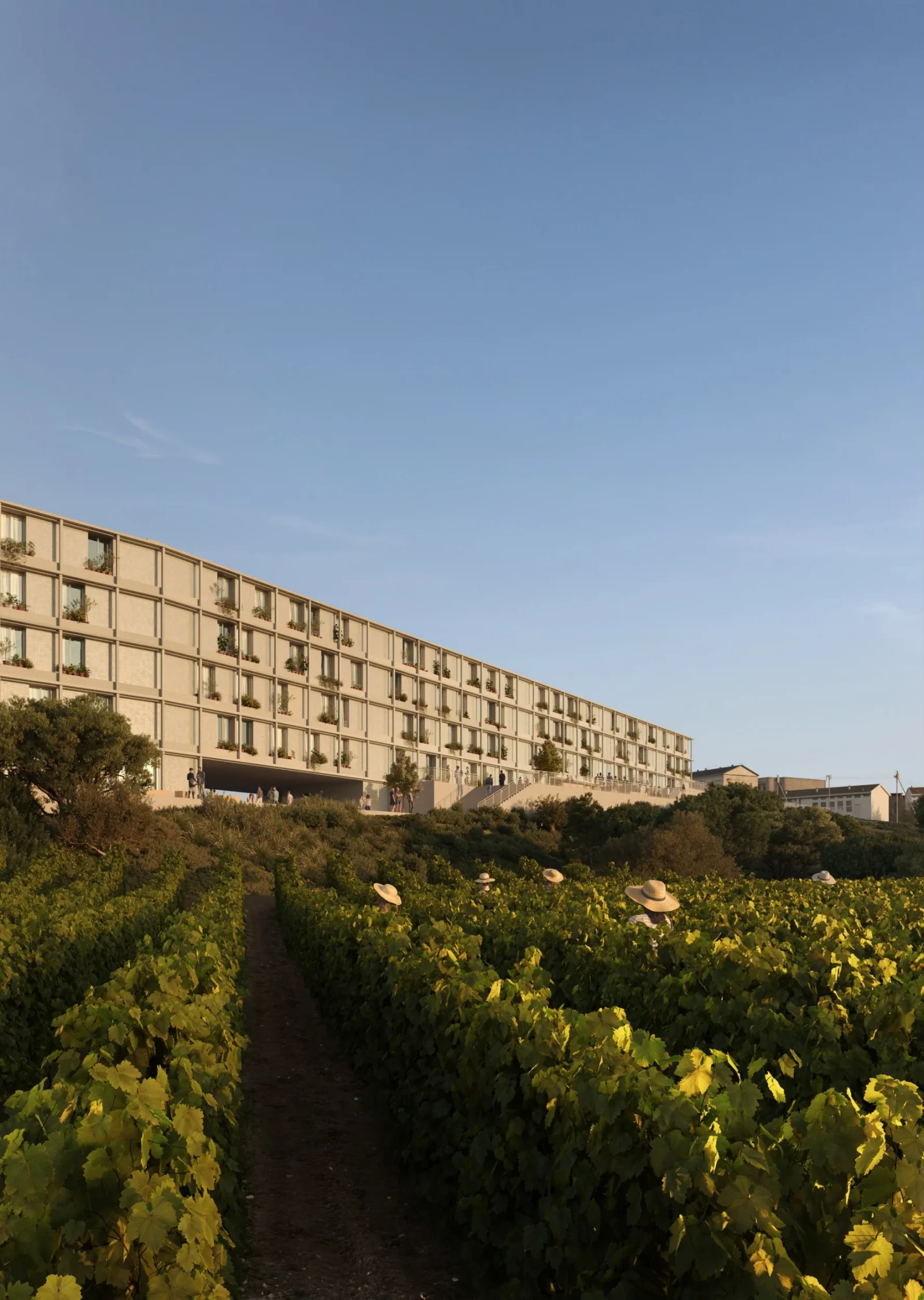 Line Line – architectural 3D visualization on CGAward