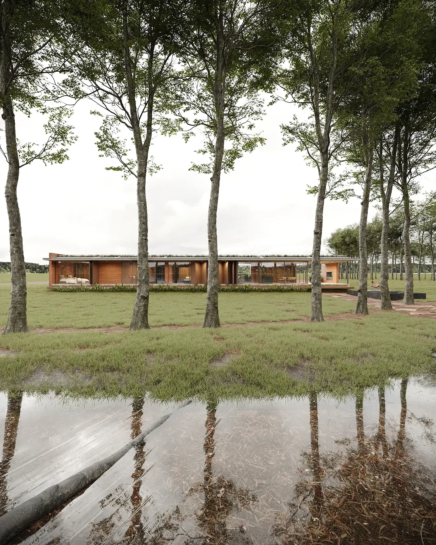 Naranjito Naranjito – architectural 3D visualization on CGAward