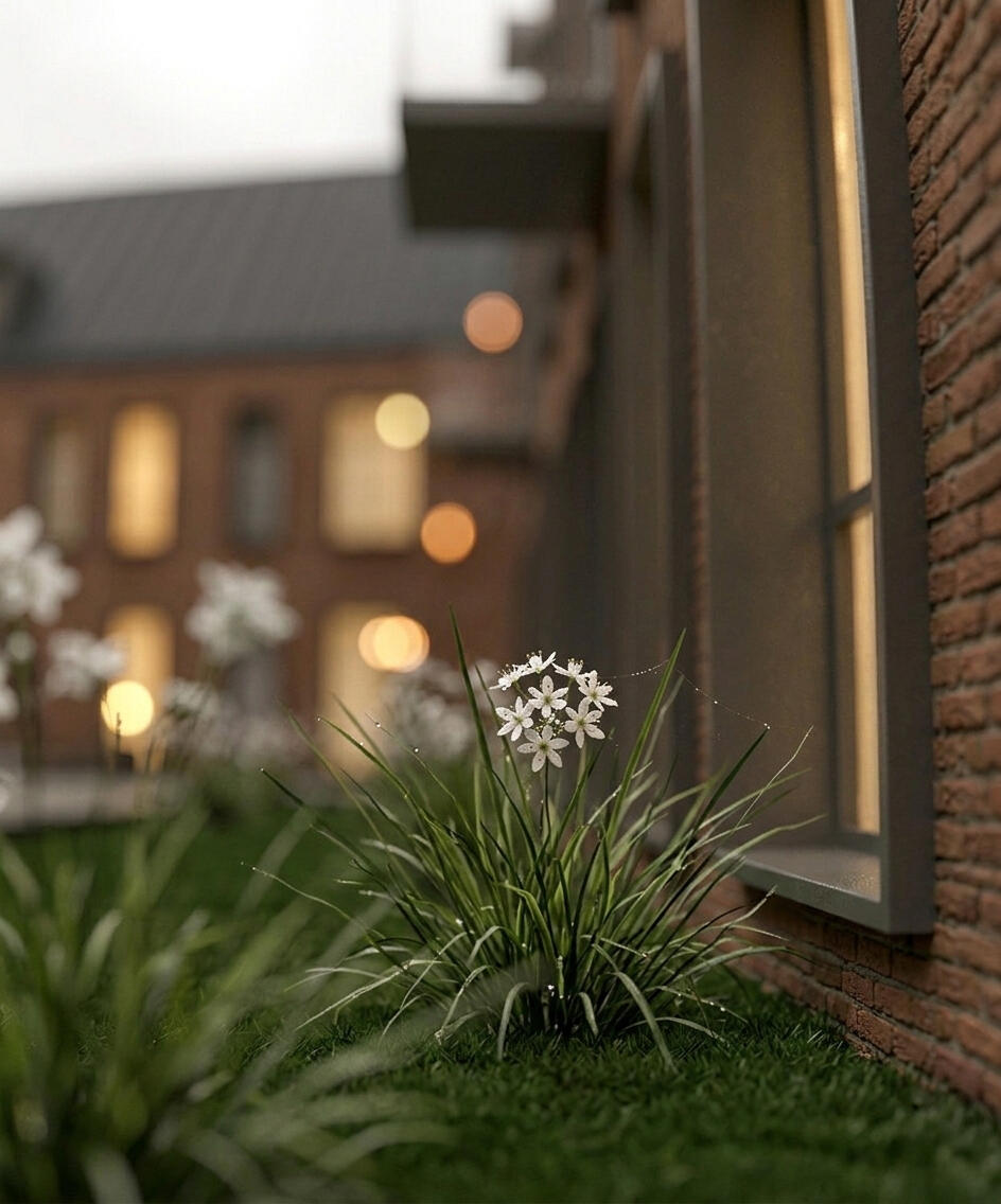 Architectural 3D visualization by Paola Sgrò on CGAward
