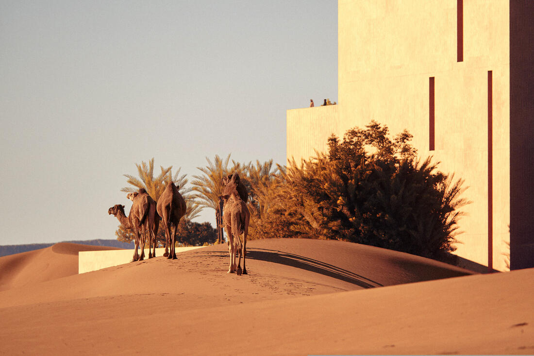 Architectural 3D visualization by abdullah alallah on CGAward