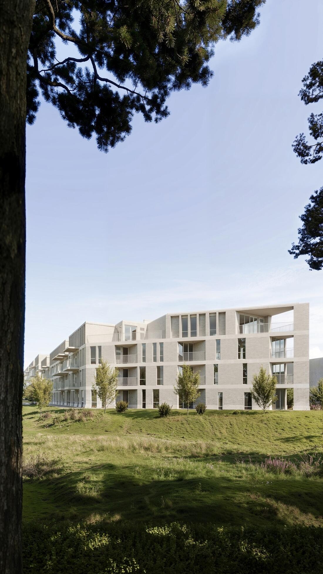 Architectural 3D visualization by Nika Verdzeuli on CGAward