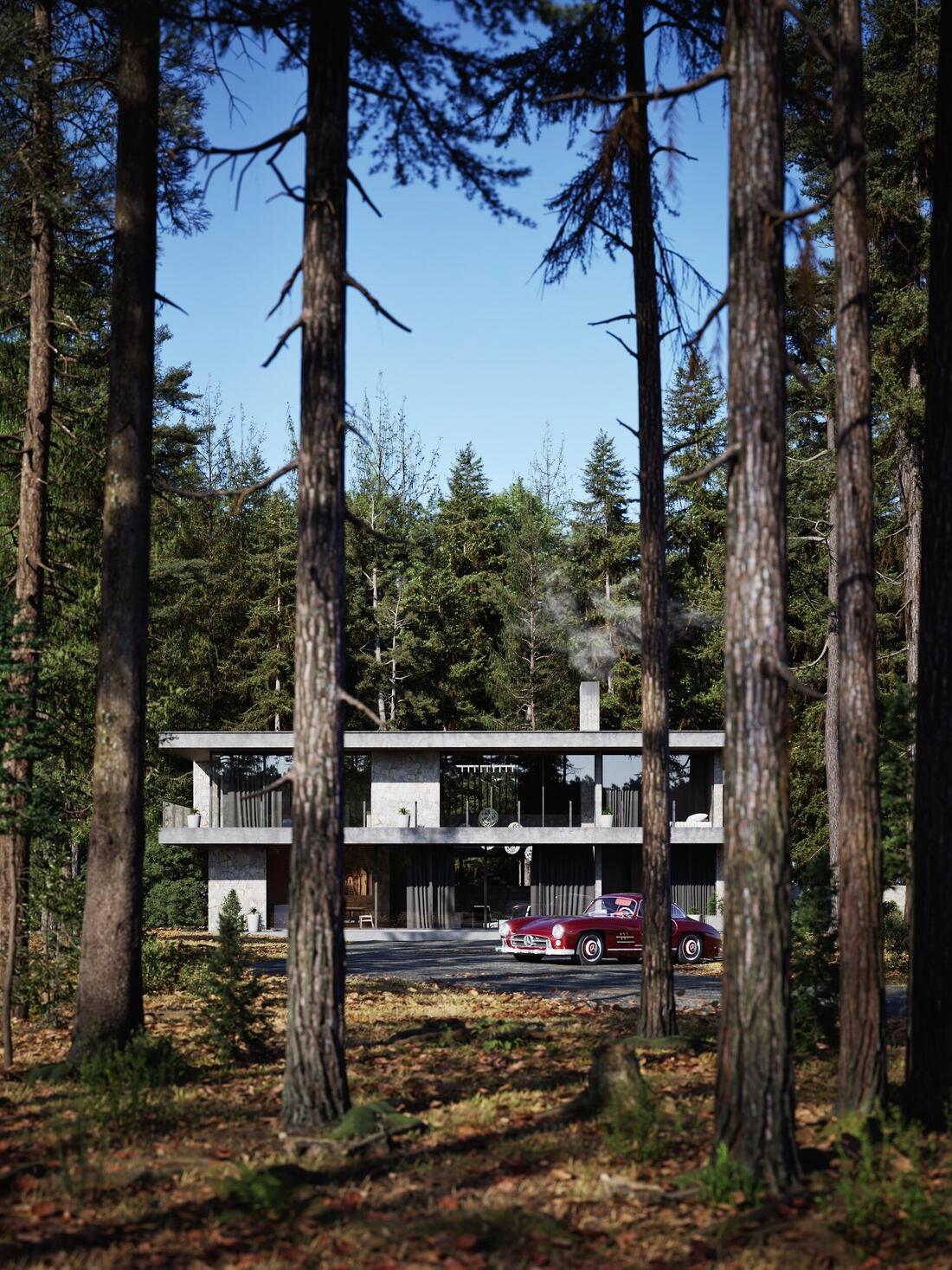Architectural 3D visualization by Gogitidze ArchViz on CGAward