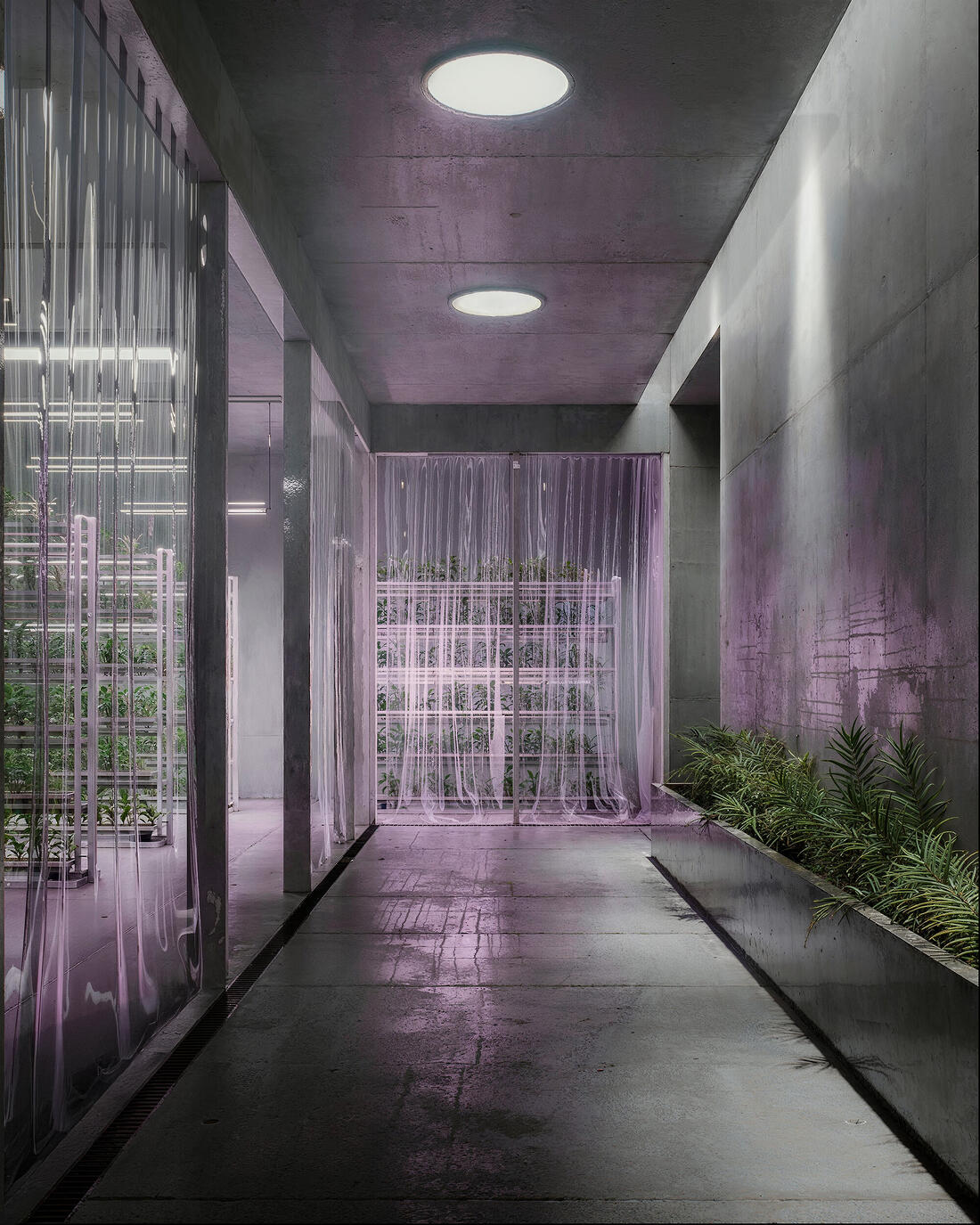 Architectural 3D visualization by Oliworks on CGAward