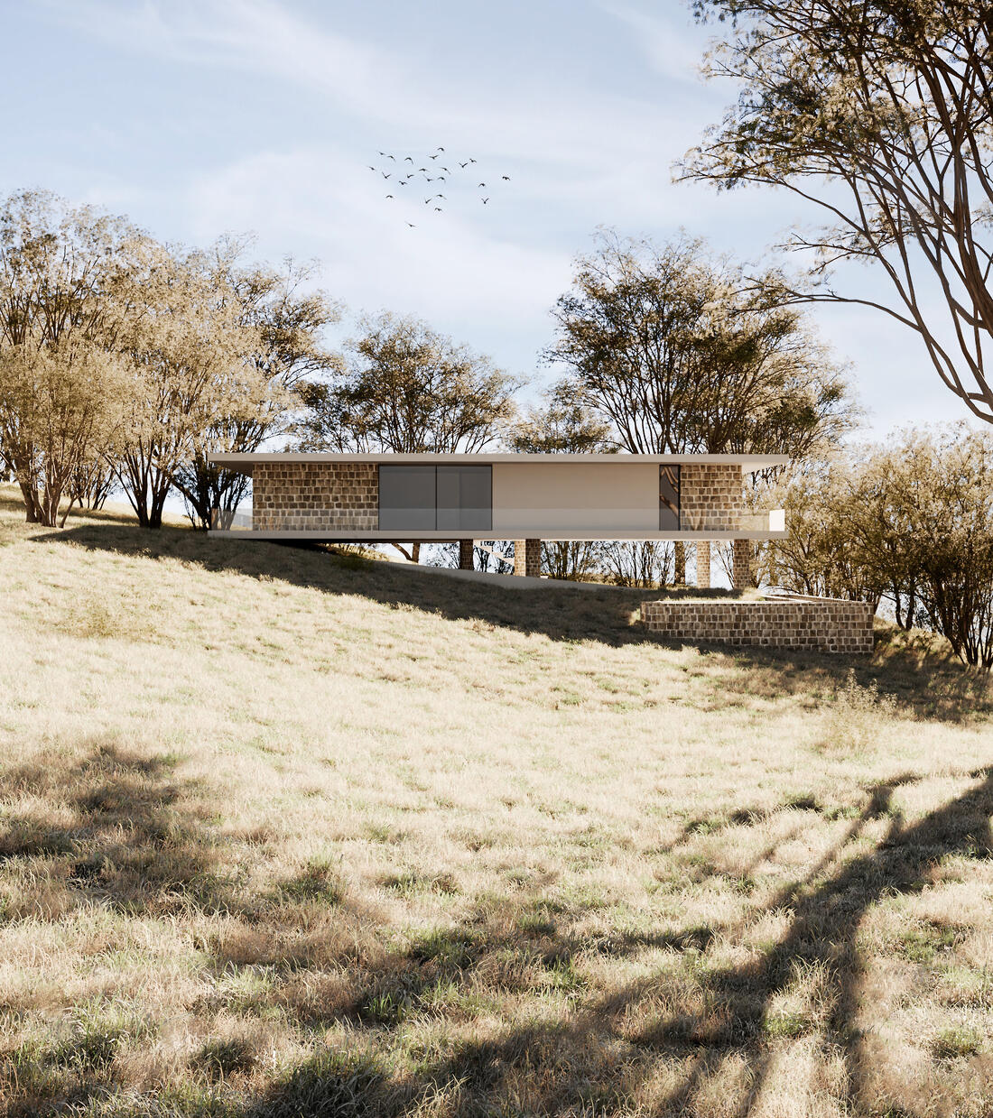 Architectural 3D visualization by Madalin Ciuculescu on CGAward